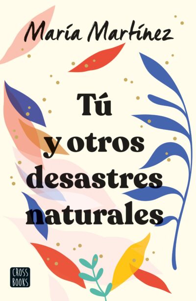 T? Y OTROS DESASTRES NATURALES