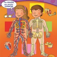 El cuerpo humano